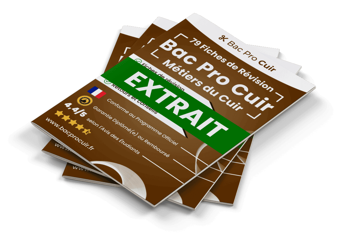 15 Fiches Révision gratuites Bac Pro Métiers du Cuir